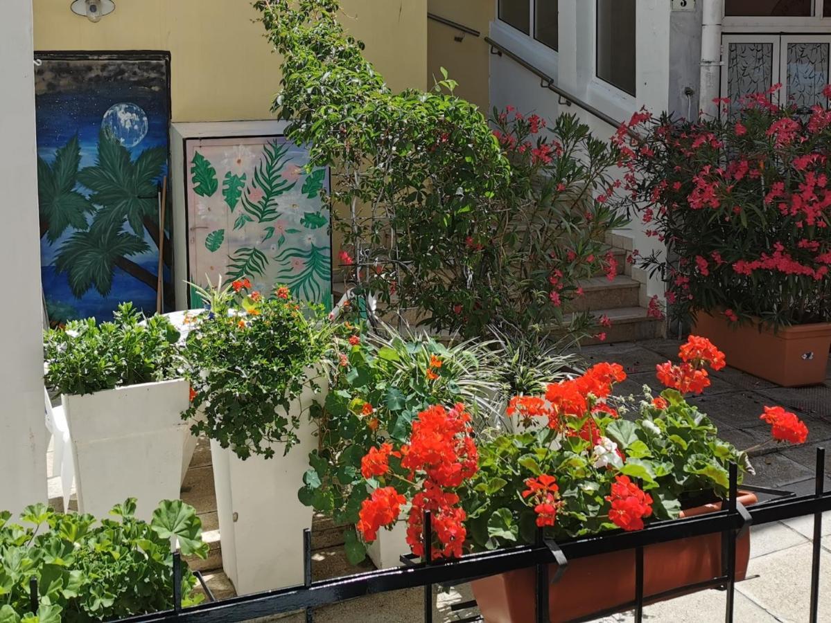 Lara Deluxe Superior 5 Star Apartment, Your Piece Of Heaven By The Sea & Park Novigrad Istria Eksteriør billede