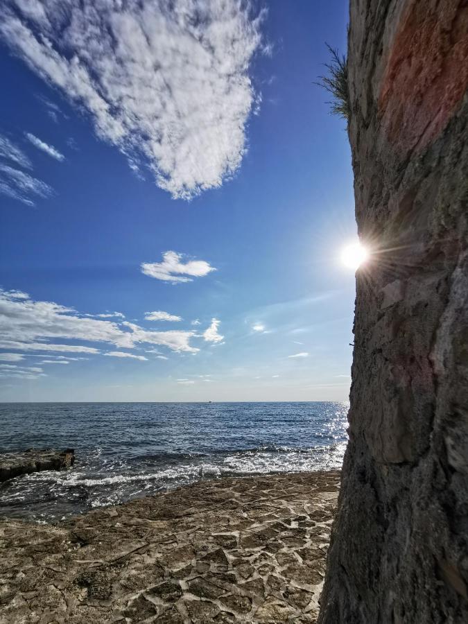 Lara Deluxe Superior 5 Star Apartment, Your Piece Of Heaven By The Sea & Park Novigrad Istria Eksteriør billede